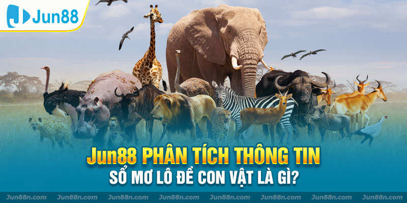 JUN88 phân tích thông tin sổ mơ lô đề con vật là gì?